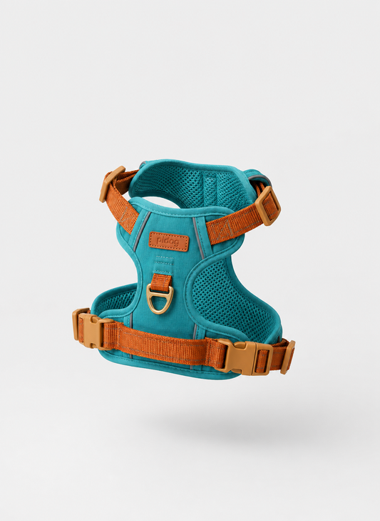 PAWALA RoamFit™ Harness Blue